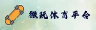 使用指南与常见问题